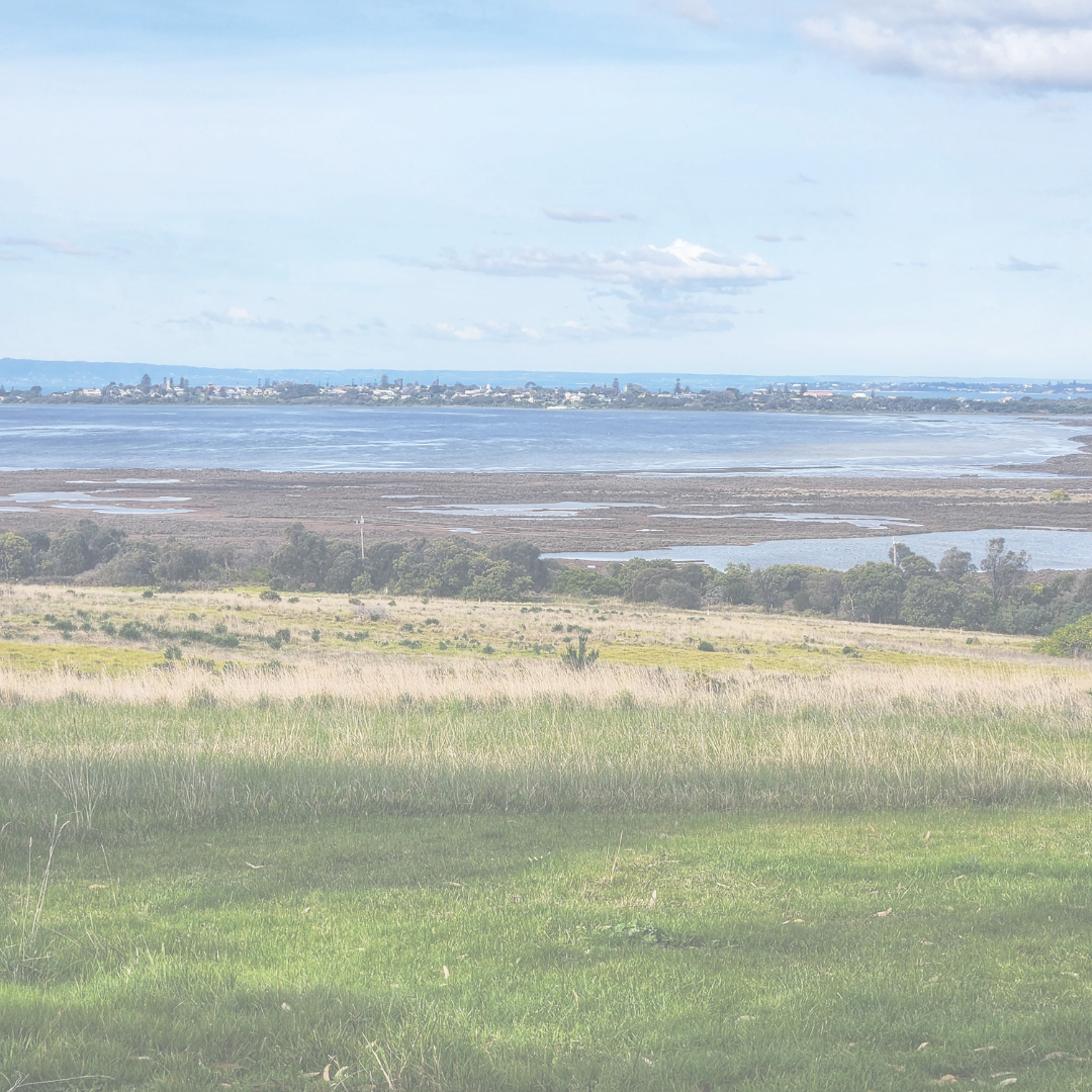 Proposed Development in Point Lonsdale Update Main Image