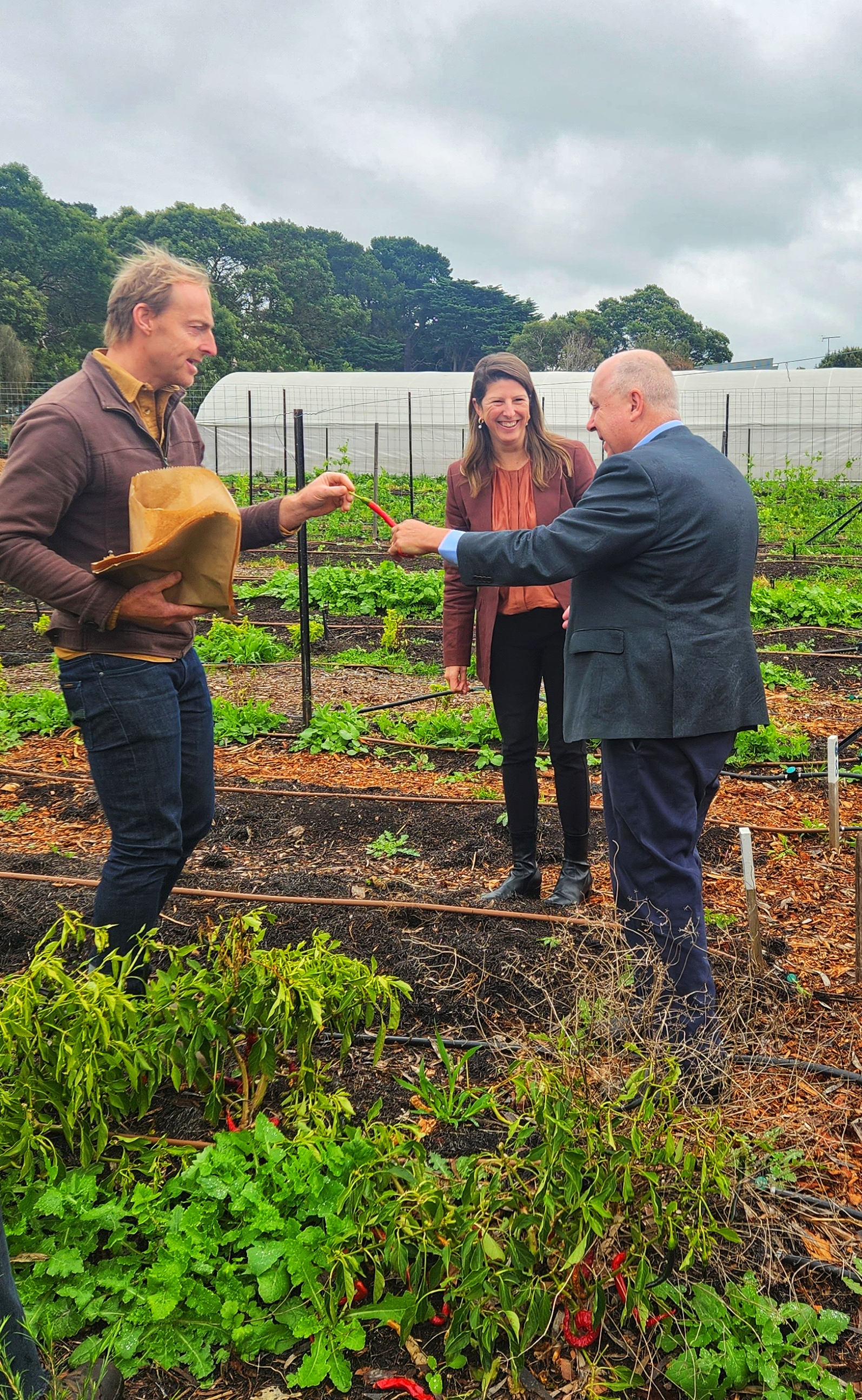 Farm My School Helping Families on the Bellarine Main Image